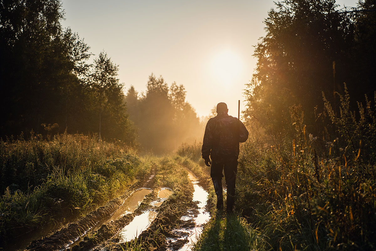 hunter walking in forest pathway